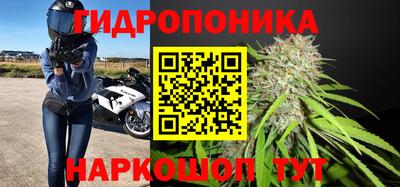 экстази Можга