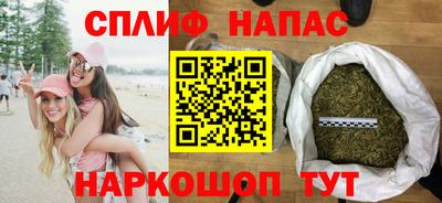 Альфа ПВП Можайск